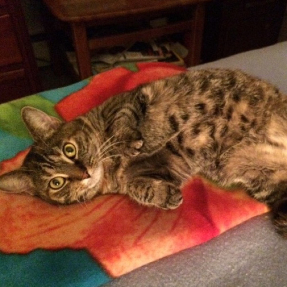 Meet your Posher, Vivian